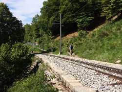 IMG-20140601-WA0016